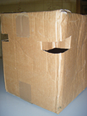 Cardboard box with good airholes
